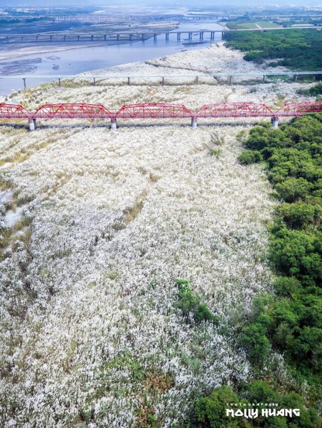 雲林景點推薦｜20個雲林最佳旅遊景點！必收藏的雲林旅遊攻略、門票優惠