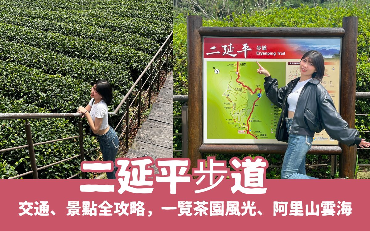 【二延平步道】隙頂二延平步道路線圖、交通、景點全攻略，一覽茶園風光、阿里山雲海