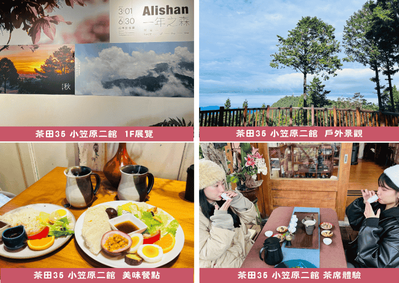 阿里山接駁巴士｜郵輪式列車玩法，不開車也能暢玩阿里山！