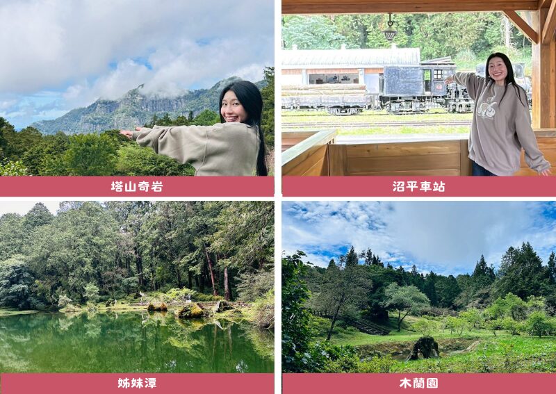 阿里山接駁巴士｜郵輪式列車玩法，不開車也能暢玩阿里山！