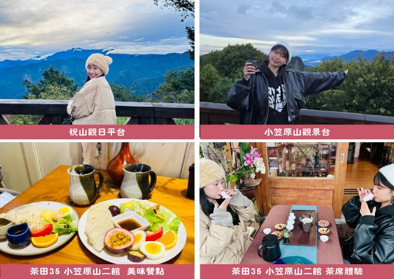 阿里山接駁巴士｜郵輪式列車玩法，不開車也能暢玩阿里山！