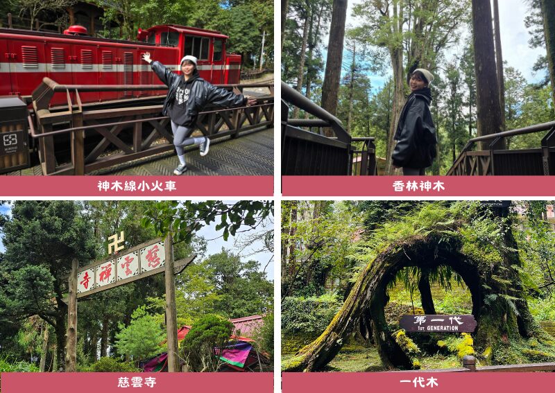 阿里山接駁巴士｜郵輪式列車玩法，不開車也能暢玩阿里山！