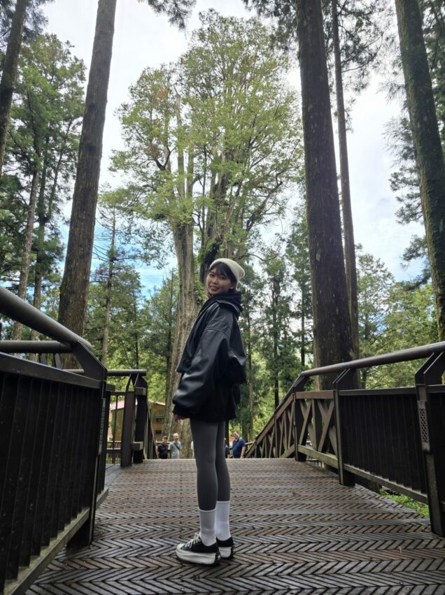 阿里山接駁巴士|郵輪式列車玩法,不開車也能暢玩阿里山! 阿里山接駁巴士|郵輪式列車玩法,不開車也能暢玩阿里山!