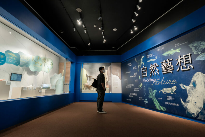 2025博物館夜遊派對！「館前一號所」帶你夜訪科博館，夜探恐龍、木乃伊、水運儀象臺！ 5 2025