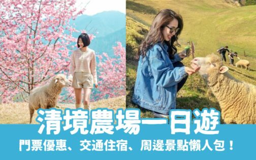 清境農場門票、清境一日遊景點推薦、清境火把節/奔羊節/櫻花季全攻略