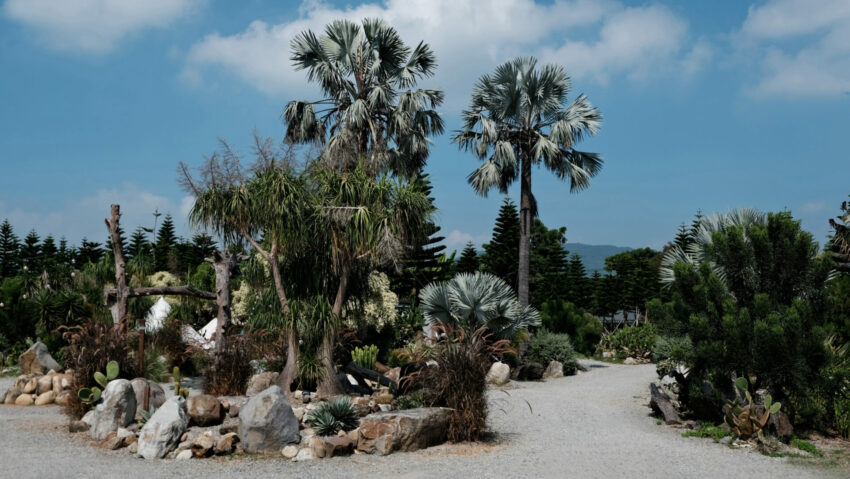 【苗栗自然圈農場】免裝備包圈露營、懶人露營玩DIY、泡湯、美式BBQ｜苗栗露營Lofi-land