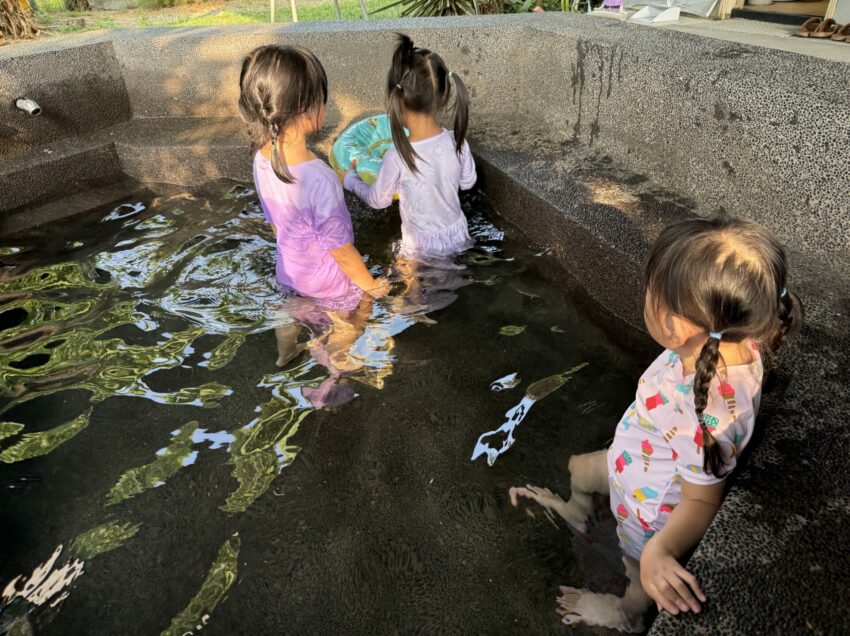 【苗栗自然圈農場】免裝備包圈露營、懶人露營玩DIY、泡湯、美式BBQ｜苗栗露營Lofi-land