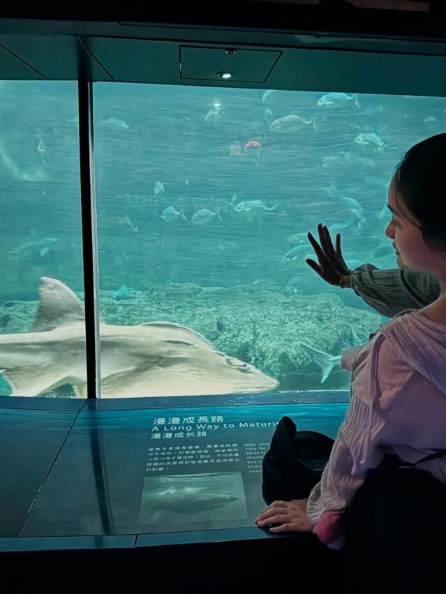 【香港海洋公園】門票優惠、遊樂園必玩設施、交通攻略,超好玩的香港親子景點! 【香港海洋公園】門票優惠、遊樂園必玩設施、交通攻略,超好玩的香港親子景點!