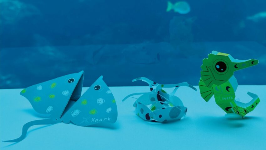 【Xpark水族館最新攻略】探索奇妙海洋世界！必逛展區/如何購票/美食餐廳/交通/夜宿懶人包