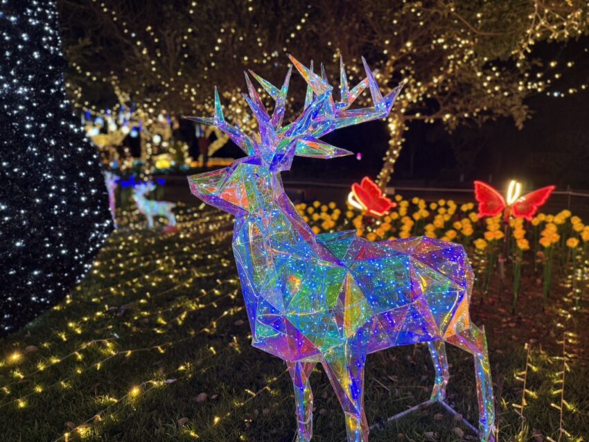 谷關一日遊｜精選谷關景點，台中最美吊橋、日式溫泉街，美景泡湯一次滿足