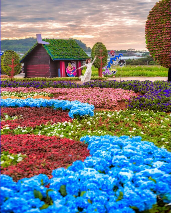 【新社景點】精選台中新社花海秘境，假日就來台中新社一日遊吧！