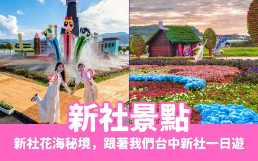 【新社景點】精選台中新社花海秘境,假日就來台中新社一日遊吧!