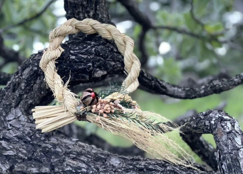 四重溪溫泉季登場！精選4大必打卡燈區，四重溪溫泉飯店/湯屋推薦/玩樂攻略/交通接駁總整理四重溪溫泉季登場！精選4大必打卡燈區，四重溪溫泉飯店/湯屋推薦/玩樂攻略/交通接駁總整理