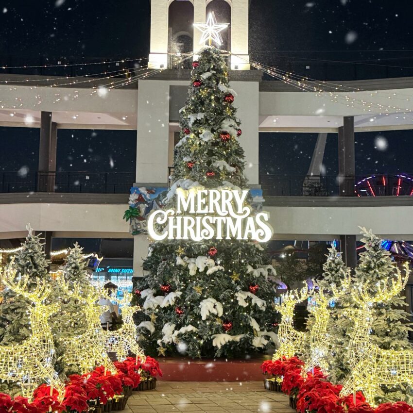 【聖誕節活動】蒐集30+個全台聖誕樹景點、聖誕市集、聖誕點燈等懶人包持續更新