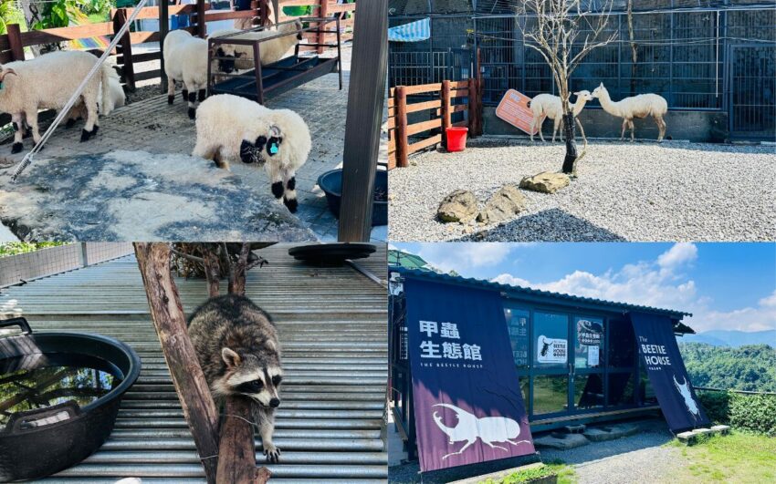 【2025南投景點推薦】精選南投一日遊景點及門票優惠，南投旅遊這樣玩！