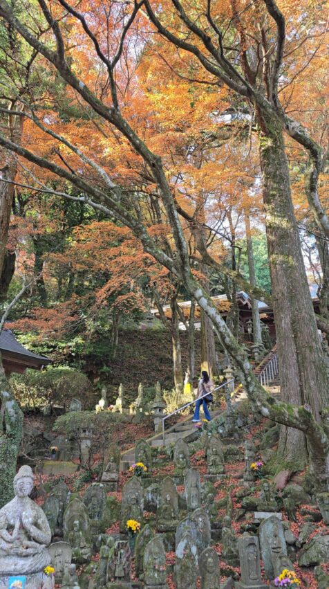 福岡必玩【柳川太宰府一日遊】輕鬆走訪太宰府、柳川遊船，文化、自然與水鄉體驗一次滿足！