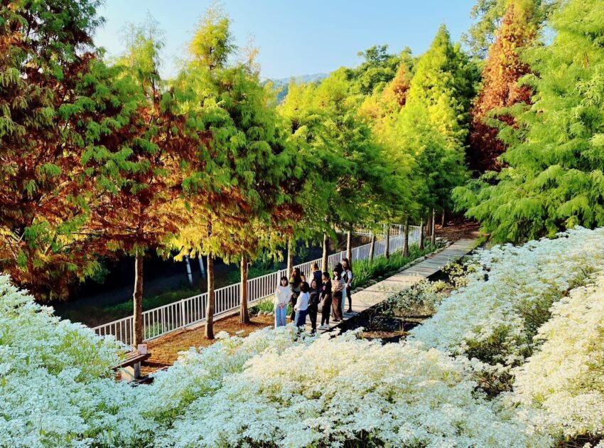 台中美食 【2026台中美食推薦】精選50家台中必吃餐廳，從早餐吃到宵夜，最強台中美食地圖！ 2 2026