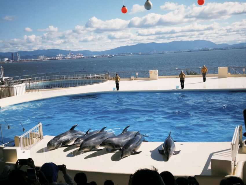 福岡景點 【福岡景點】2026日本岡景點推薦、福岡景點地圖攻略 福岡景點 2026 福岡景點 【福岡景點】2026日本岡景點推薦、福岡景點地圖攻略 6 2026