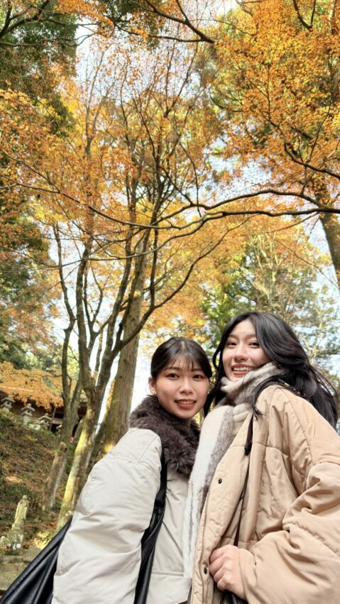 福岡必玩【柳川太宰府一日遊】輕鬆走訪太宰府、柳川遊船，文化、自然與水鄉體驗一次滿足！