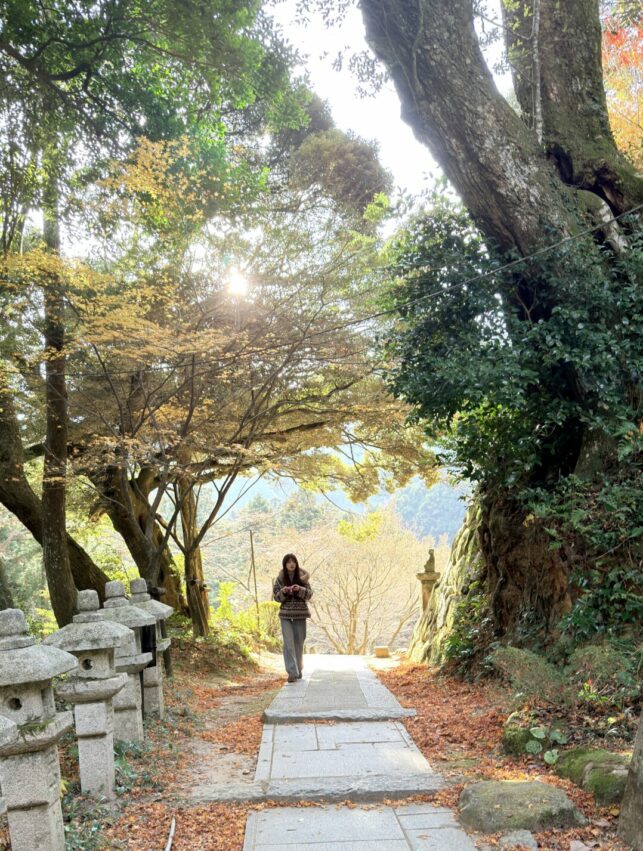 福岡必玩【柳川太宰府一日遊】輕鬆走訪太宰府、柳川遊船，文化、自然與水鄉體驗一次滿足！