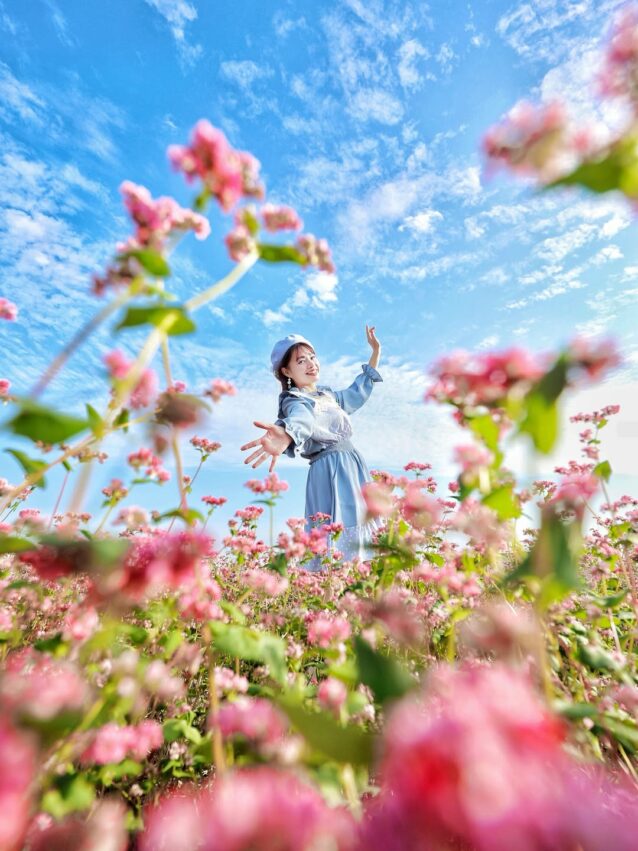 台中景點 【2026台中景點】最新80個台中一日遊攻略，台中好玩的通通在這裡！台中景點地圖攻略 12 2026