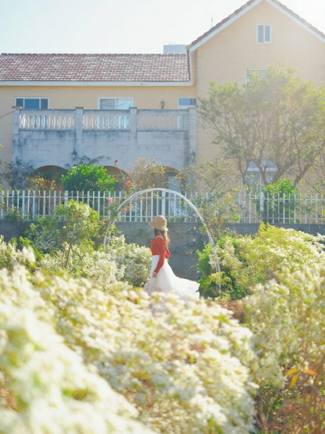 台中景點 【台中景點】最新台中一日遊攻略，台中好玩的通通在這裡！ 7 2025