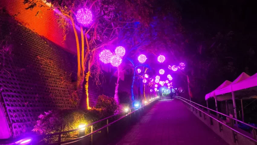 月影燈季 2026月影燈季｜彰化八卦山「跳跳馬戲團」來囉！月影燈季必看亮點、小提燈領取、交通攻略 12 2025