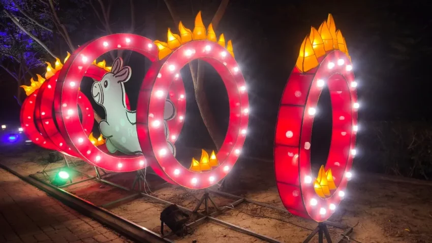 月影燈季 2026月影燈季｜彰化八卦山「跳跳馬戲團」來囉！月影燈季必看亮點、小提燈領取、交通攻略 4 2025