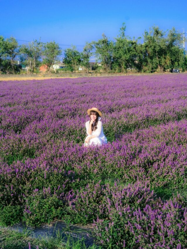 【彰化景點推薦】彰化一日遊攻略，彰化好玩景點、新景點、親子景點通通有！