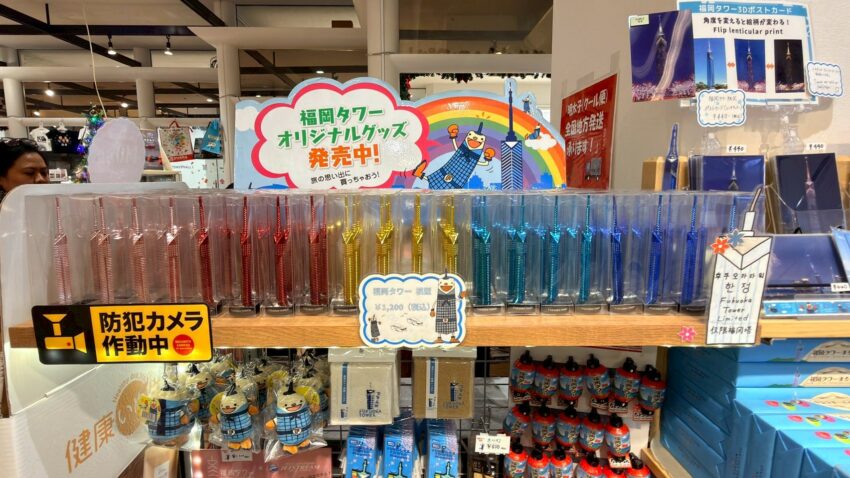 福岡塔攻略｜日本最高海濱塔震撼視野！必拍景點、門票優惠與交通懶人包，去過才知多美！