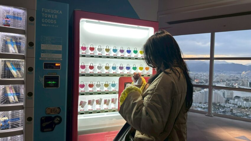 福岡塔攻略｜日本最高海濱塔震撼視野！必拍景點、門票優惠與交通懶人包，去過才知多美！