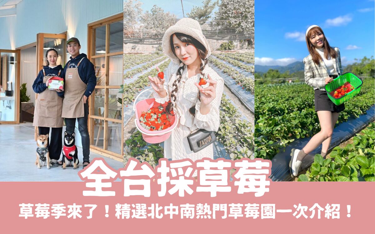 【全台採草莓推薦】每年最期待的草莓季來了！精選北中南熱門草莓園，親手採草莓最有趣！