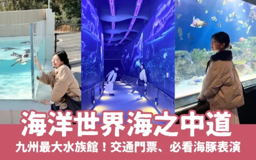 福岡親子景點【海洋世界海之中道】九州最大水族館!門票交通、必看海豚表演與館內攻略!