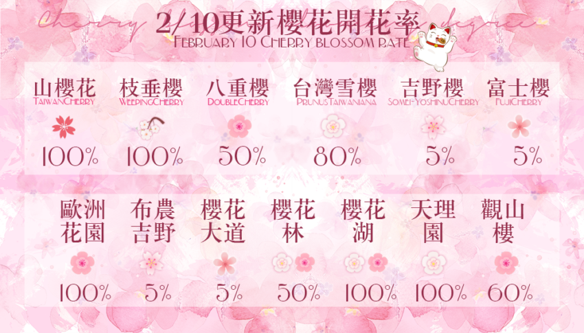 九族櫻花祭 【2026九族櫻花祭】南投賞櫻即時花況！門票優惠、賞櫻地點，九族賞夜櫻攻略 1 2026