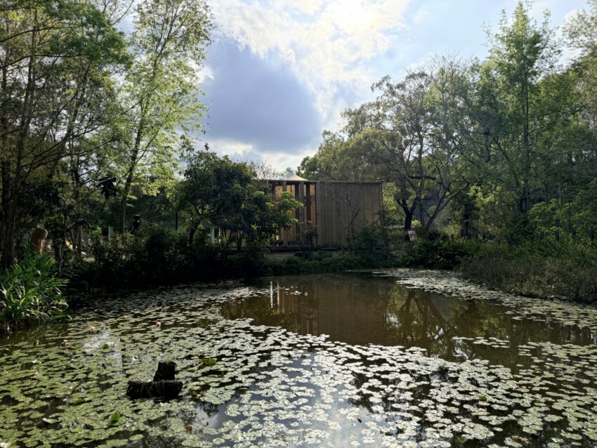 開箱【日月潭FunTOUR觀光巴士】一日遊，免開車也能輕鬆玩日月潭，路線、費用、特色一次看！